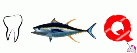 Dtc Yellowfin Tuna GIF - Dtc Yellowfin Tuna Tooth GIFs