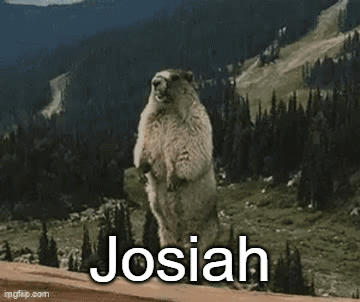 Josiah Josiah Beaver GIF - Josiah Josiah Beaver Josiah Screaming Beaver GIFs