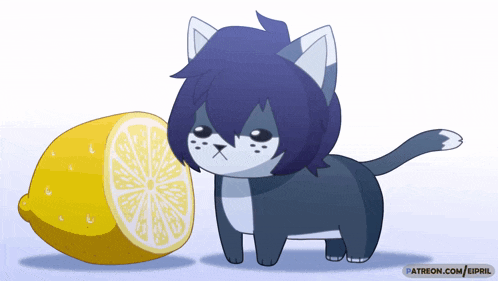 a cartoon cat is standing next to a slice of lemon and the website is patreon.com