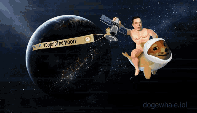 Doge Dogecoin GIF - Doge Dogecoin Dogewhale GIFs