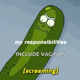 a pickle from rick and morty says `` my responsibilities include vaginas [ screaming ] '' .