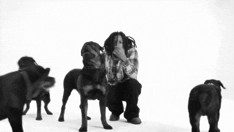 a black and white photo of a man with dreadlocks looking at the camera .