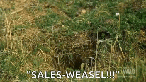 Salesman Weasle GIF - Salesman Sales Man GIFs