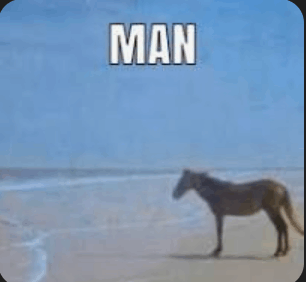 a picture of a horse on a beach with the word man written above it