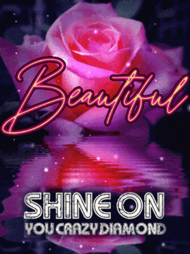 a pink rose with the words beautiful shine on you crazy diamond