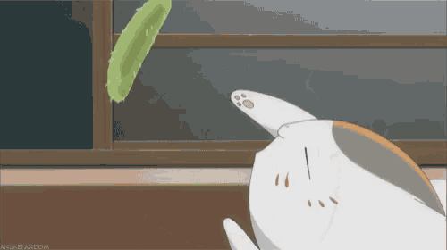 a cat is playing with a green object in a room .
