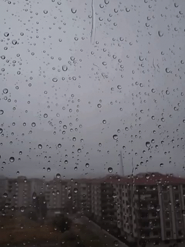 Rain Rainy GIF - Rain Rainy GIFs