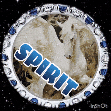 a picture of a pegasus with the word spirit written on it