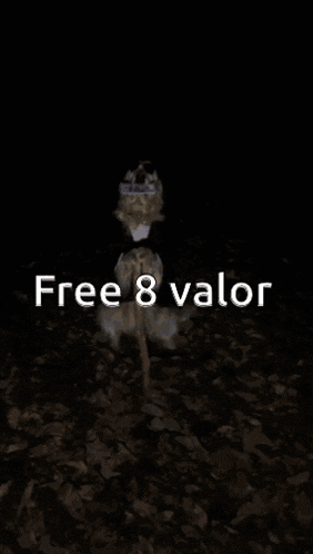 a dog wearing a suit and sunglasses is holding a sign that reads free 8 valor