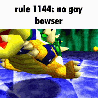 a picture of a video game character with the words rule 1141 no gay bowser