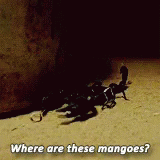 Scorpion Where Are These Mangoes GIF - Scorpion Where Are These Mangoes GIFs