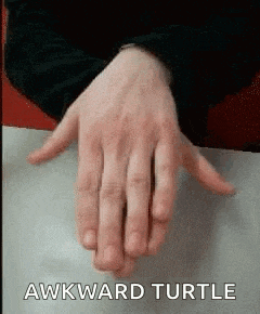 a close up of a person 's hands with the words `` awkward turtle '' written on the bottom .