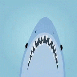 Yeah Shark GIF - Yeah Shark Yes GIFs