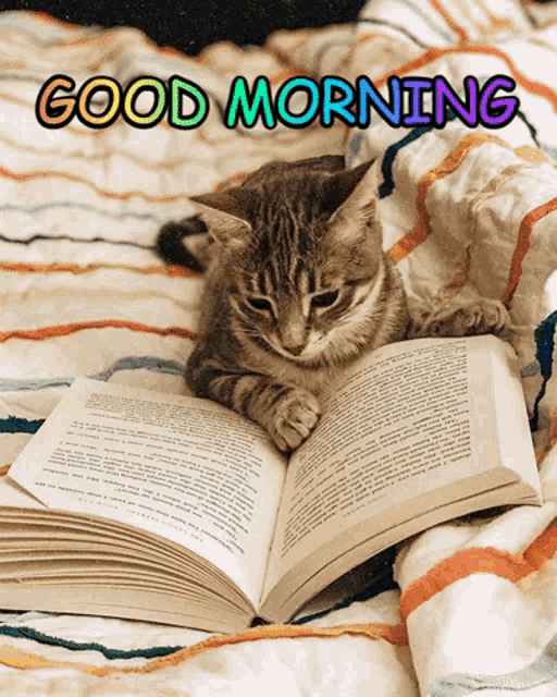 a cat is laying on a bed reading a book with the words good morning written above it