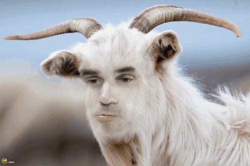 Le Goat GIF - Le Goat Cosmique GIFs