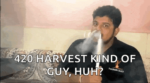 a man is smoking a hookah and says 420 harvest kind of guy huh .
