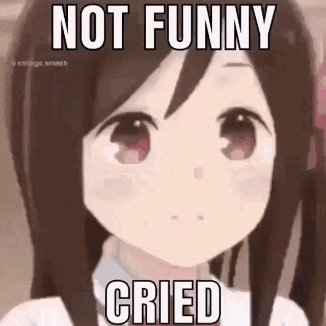 Not Funny Anime GIF - Not Funny Anime Funny GIFs