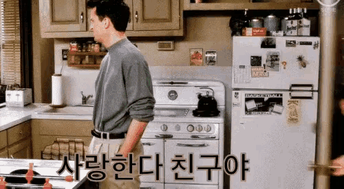 우정 친구 사랑 사랑해 사랑한다 프렌즈 조이 챈들러 포옹 허그 GIF