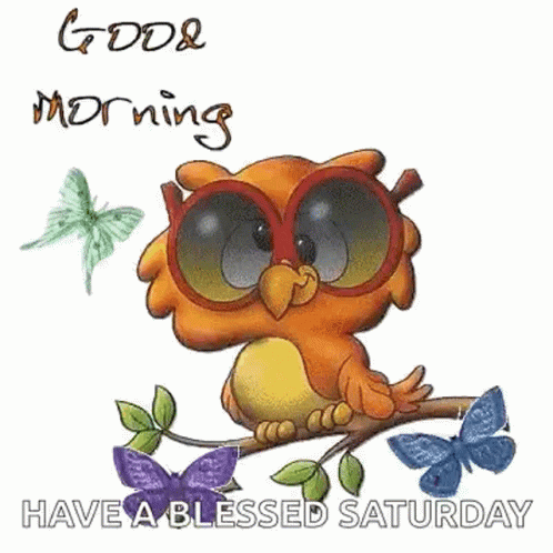 Good Morning Butterfly GIF - Good Morning Butterfly Bird GIFs