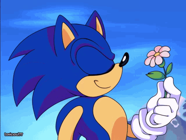 Sonic Sonic X GIF - Sonic Sonic X Sonic The Hedgehog GIFs