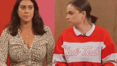 two women are standing next to each other on a red and pink background .