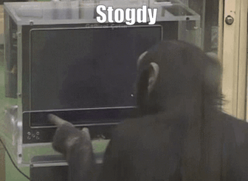 Stogdy Davy GIF - Stogdy Davy Monkey GIFs