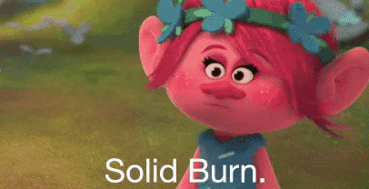 a troll with flowers in her hair is standing in a field with the words `` solid burn '' written below her .
