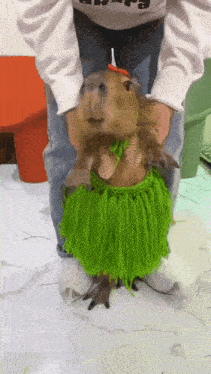 Capybara Dance Capy Hawai Dance Capybara Hawai Dance GIF - Capybara Dance Capy Hawai Dance Capybara Hawai Dance Capy Dance GIFs