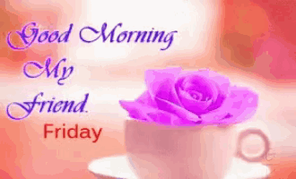 a cup of coffee with a purple rose in it and the words `` good morning my friend friday '' .