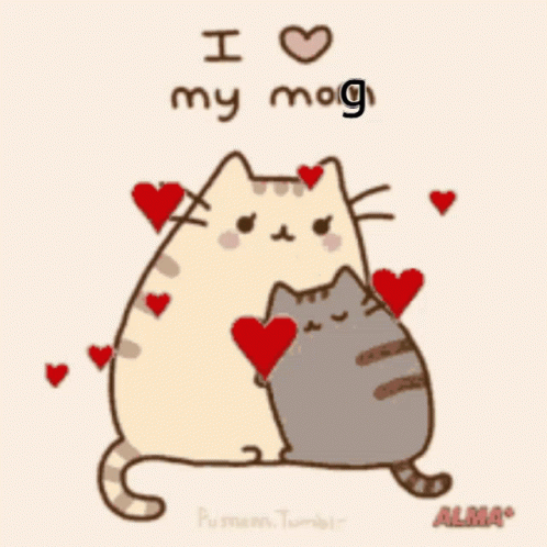 Mog Mog Love GIF - Mog Mog Love I Love My Mog GIFs