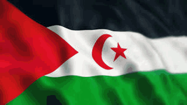 a flag with a red crescent moon and a star on it