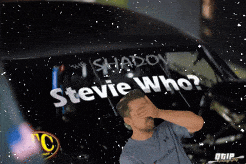 a man covering his face in front of a car that has stevie who written on it