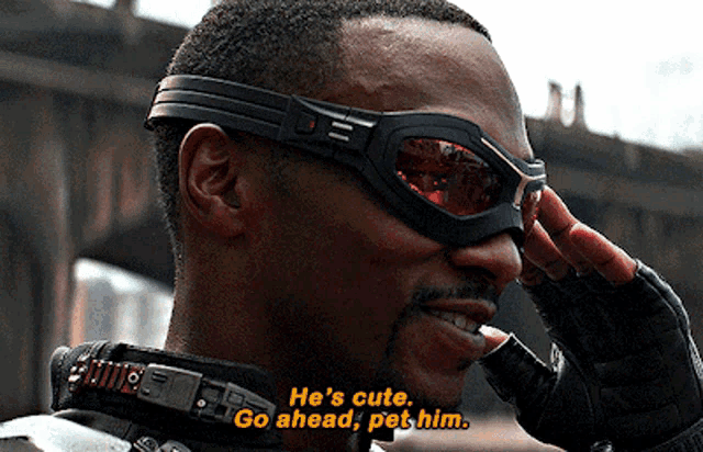 a man wearing goggles with the words he 's cute go ahead pet him
