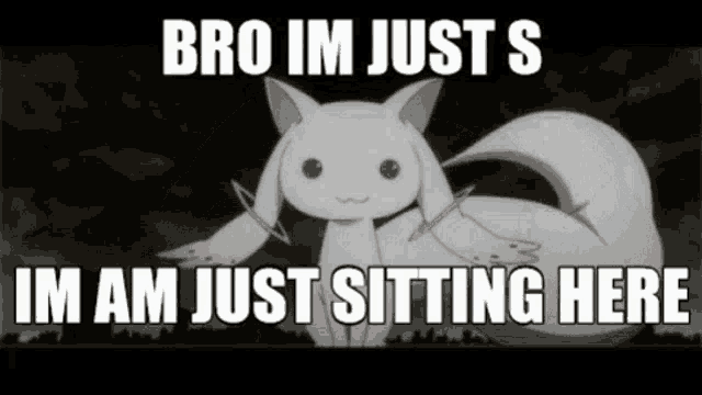 a picture of a white cat with a caption that says bro im just s im am just sitting here .