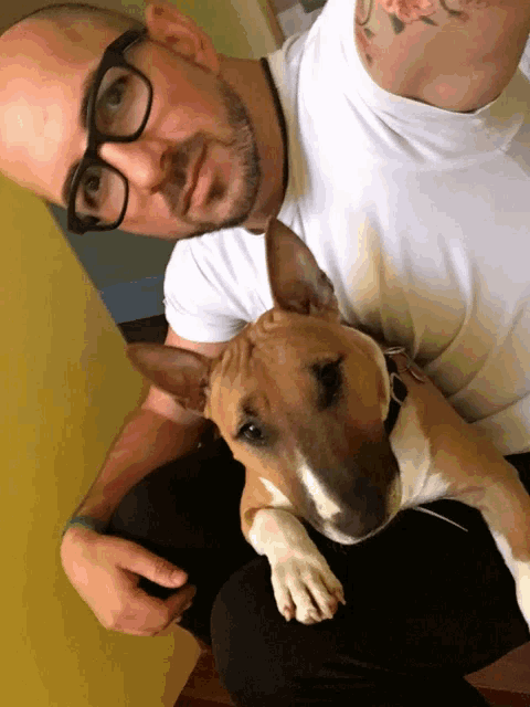 a man with glasses and a tattoo on his chest holds a small brown and white dog