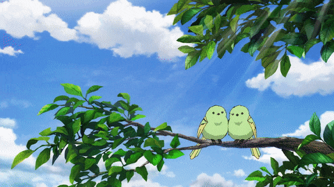 two green birds perched on a tree branch under a blue sky