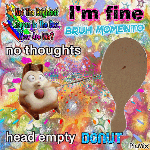 a picture of a hamster with the words i 'm fine head empty donut written on it