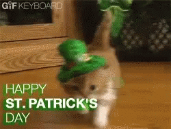 Happy St Patricks Day Green Beer GIF - Happy St Patricks Day Green Beer Cat GIFs