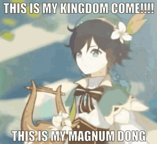 a picture of a boy holding a lyre with the caption " this is my kingdom come !!! this is my magnum dong "