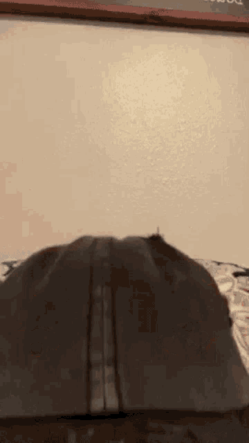 a close up of a person 's back with a hat on it .