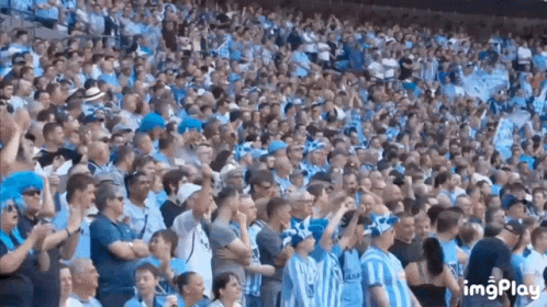 Pusb Coventry City GIF