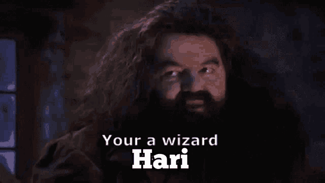 Hari Wizard GIF - Hari Wizard GIFs
