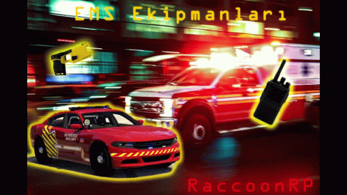 Raccoonrp Raccoon Rpems GIF - Raccoonrp Raccoon Rpems Car GIFs