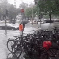 a bunch of bikes are parked on the sidewalk in the rain