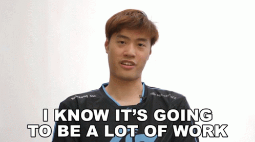 I Know Its Going To Be A Lot Of Work Wildturtle GIF - I Know Its Going To Be A Lot Of Work Wildturtle Clg GIFs