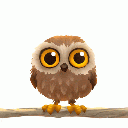 Owl Owl Dance GIF - Owl Owl Dance GIFs
