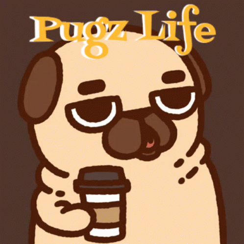 Pugz GIF - Pugz GIFs