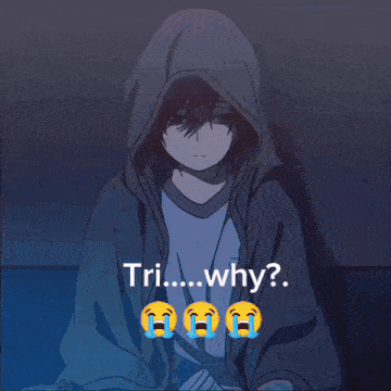 Tri Why GIF - Tri Why Why Tri GIFs