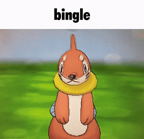 Buizel Pokemon GIF - Buizel Pokemon Bingle GIFs