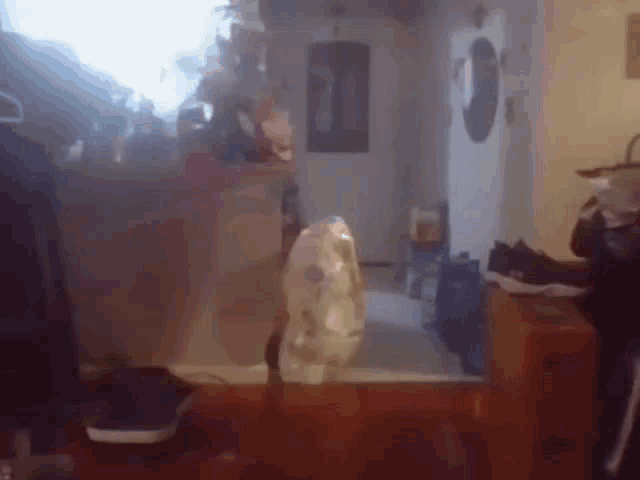 a blurred image of a room with a dresser and a fan